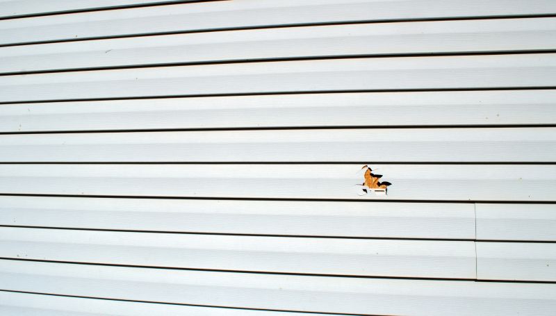 Vinyl Siding Repair - Image 4